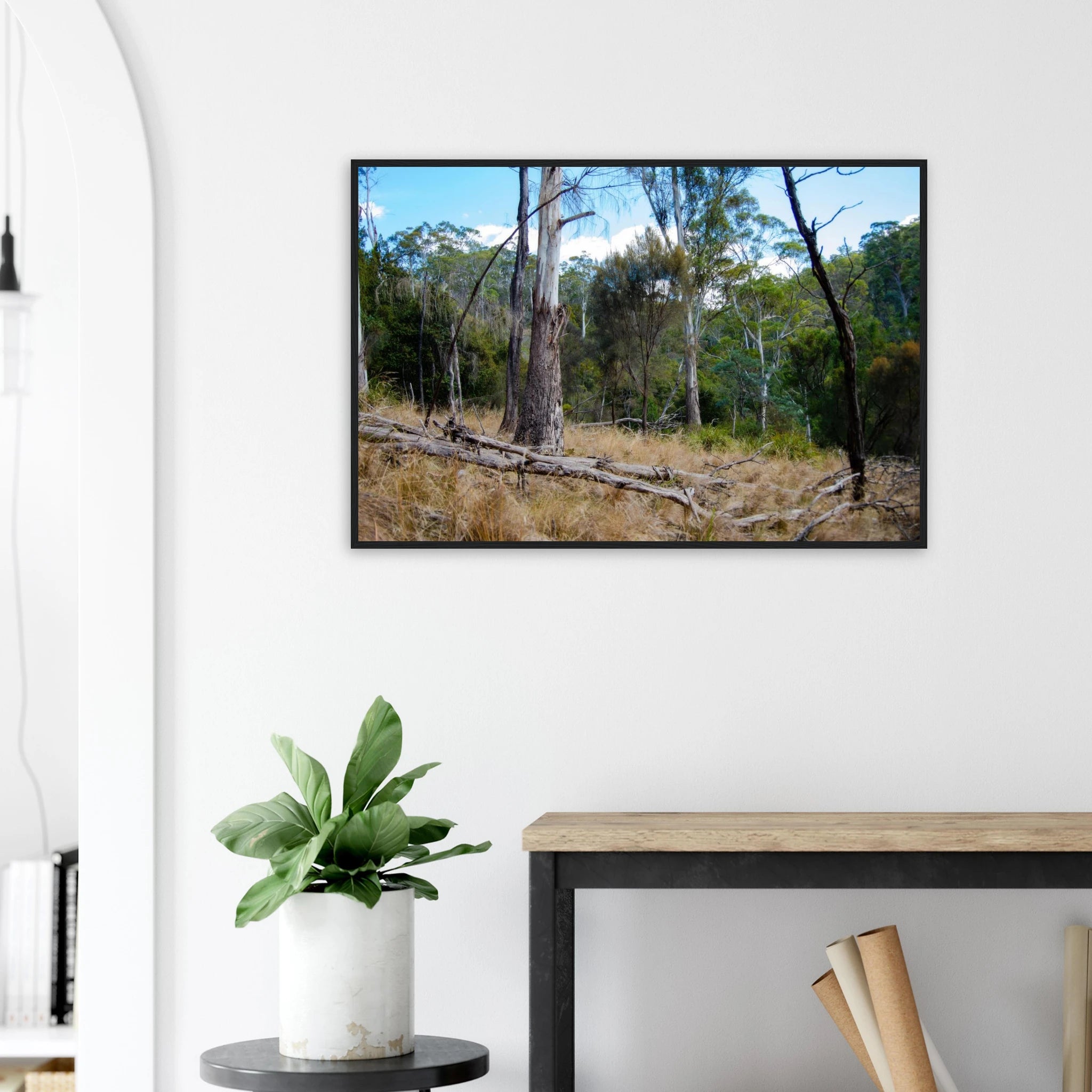 bbefa5a7-0464-4d06-bda7-8204ba424ada