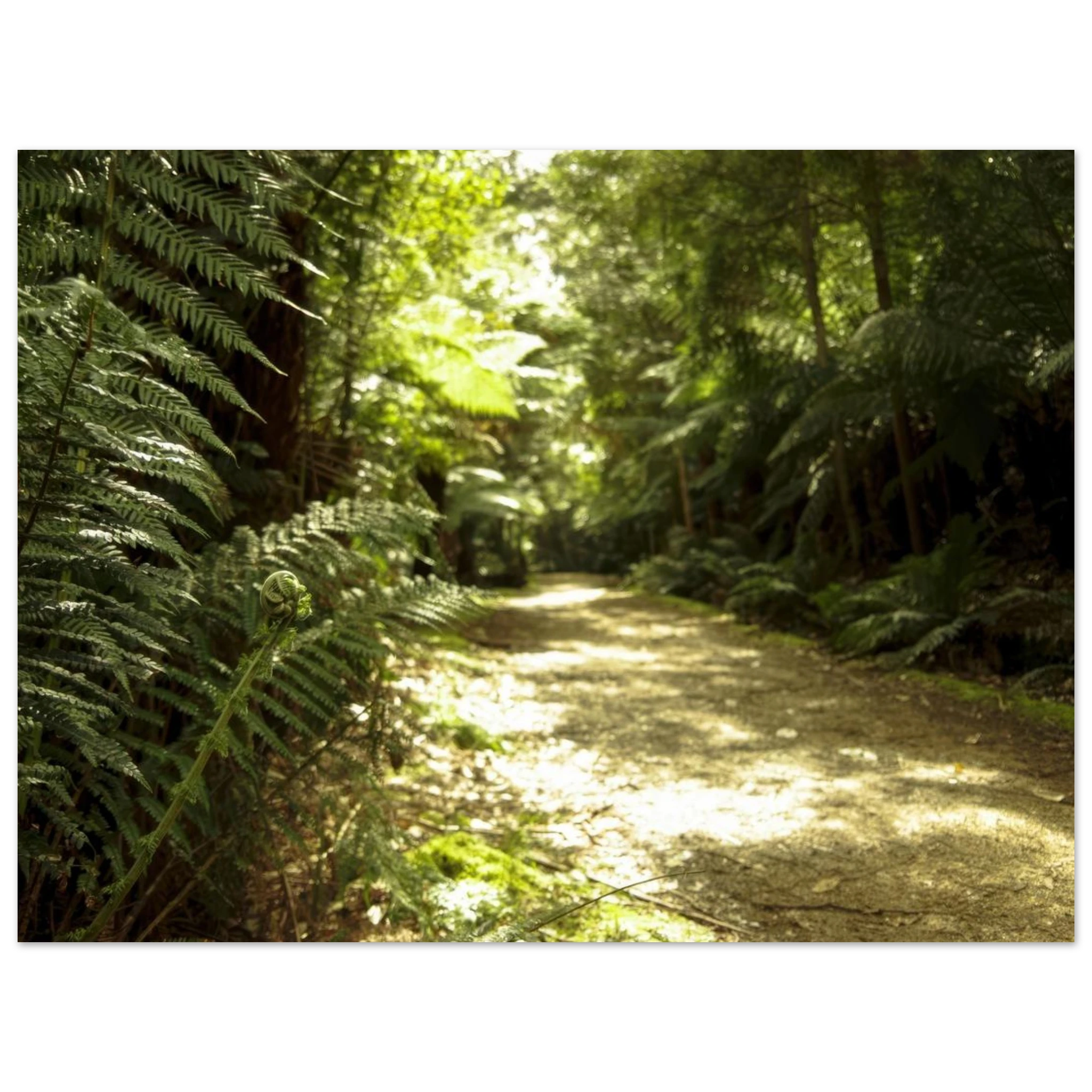 bef20ea0-c0b6-47ba-bdd9-f5f7daa3798b