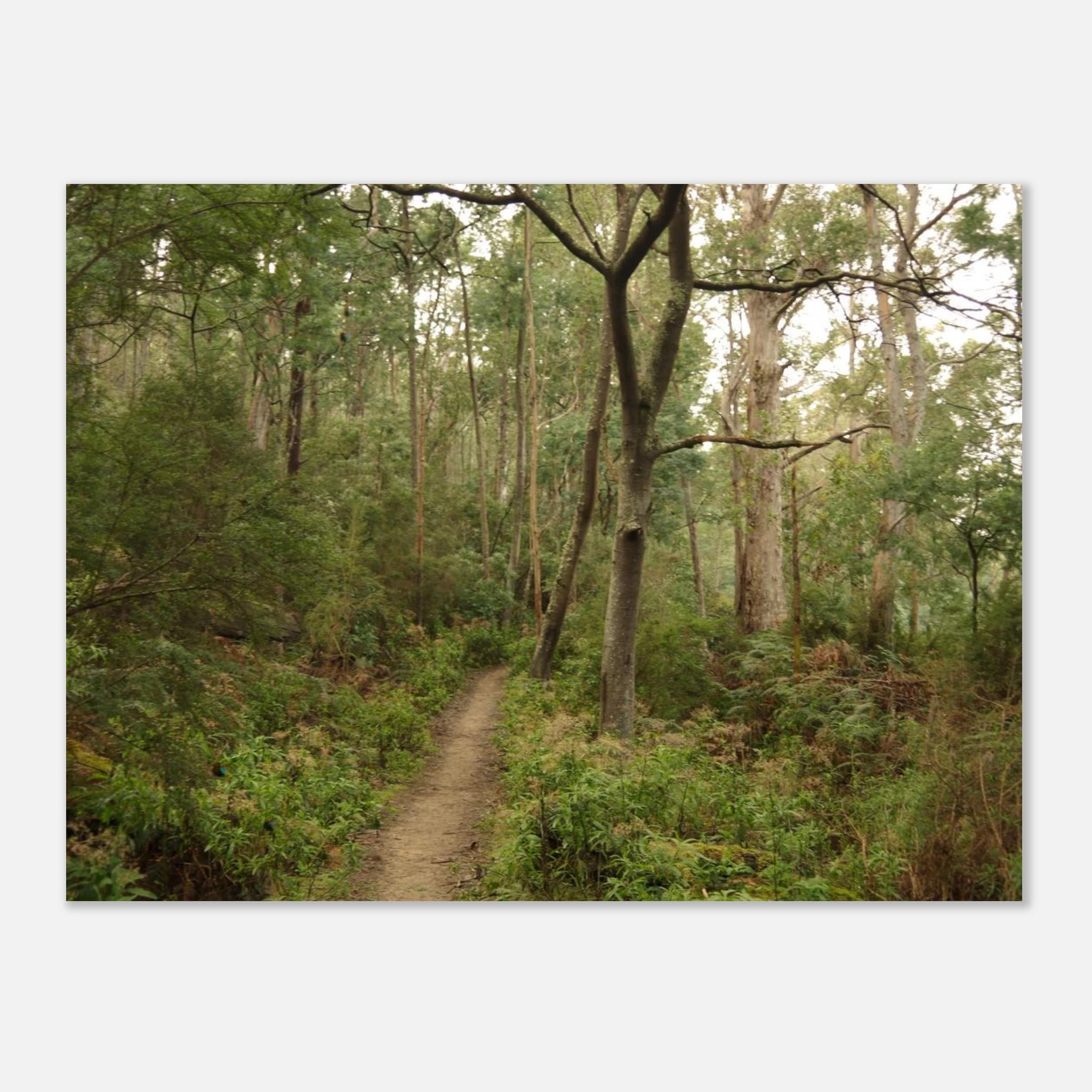 c08d6e59-c526-4993-abc2-0484bc34feee