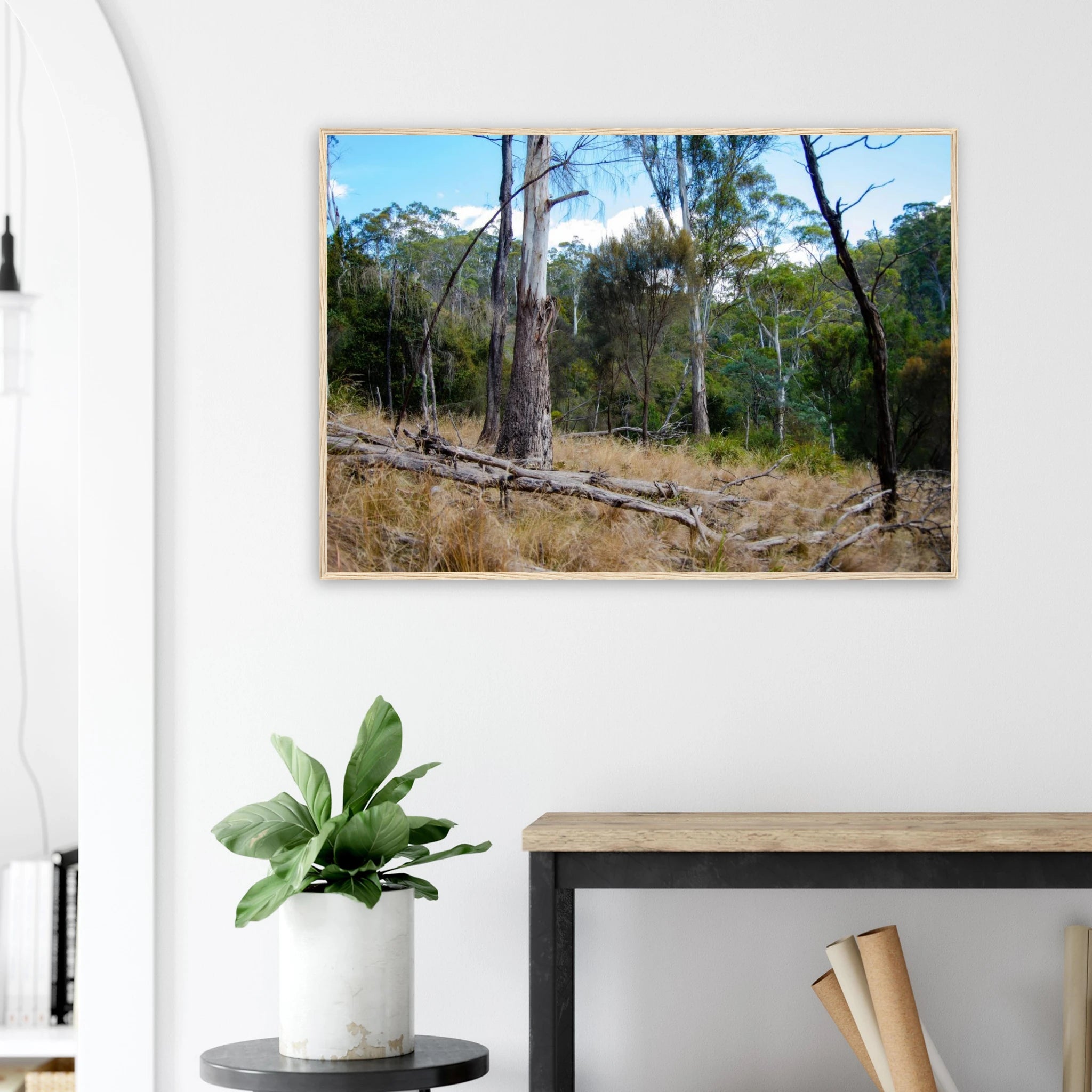 c188c17b-fe78-467e-bfce-22a92bbaf526