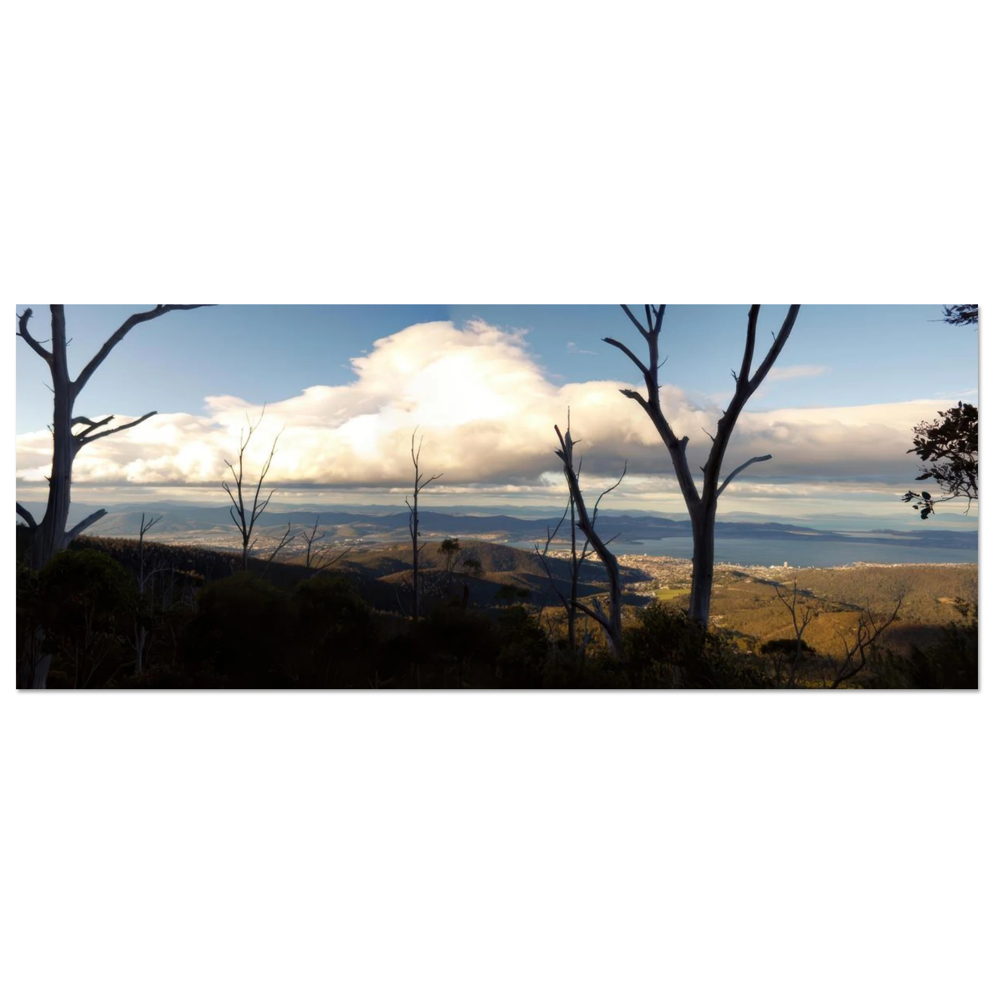 c30825c6-f750-4d82-9a6a-c14e030d5228