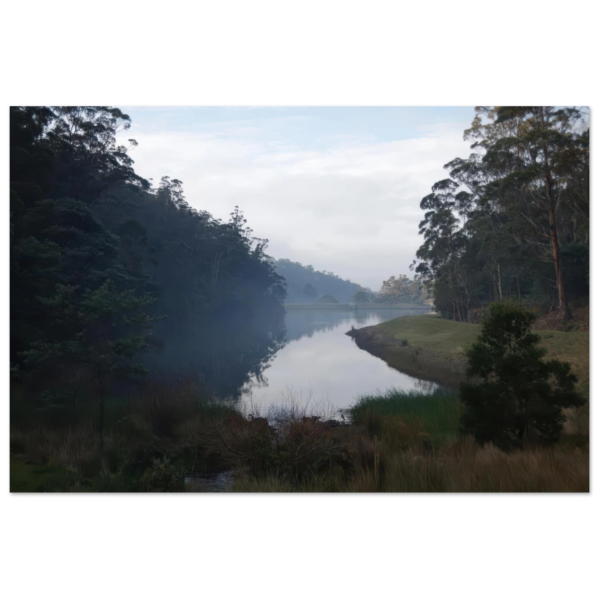 c4d1c4a7-6b3e-492e-b6ab-8c49a99ead11