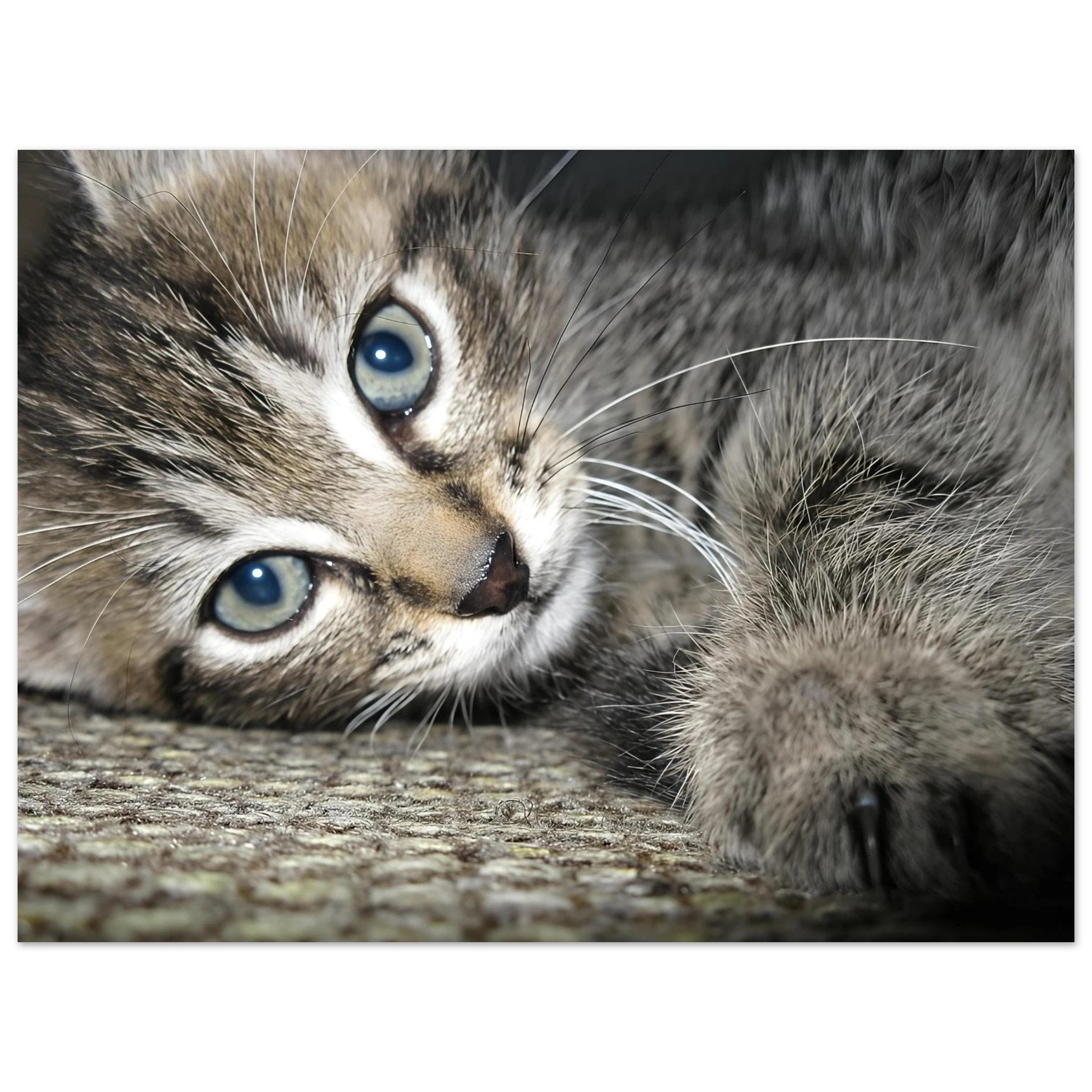 c5a469be-6332-41c4-b440-52bd9fccffea
