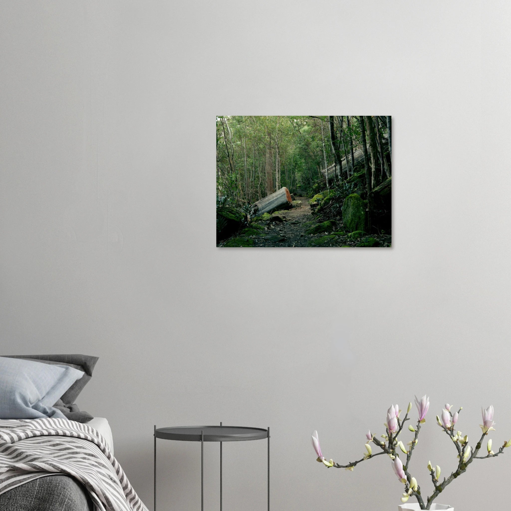 c5f4311f-6a7e-478c-900e-bc7f68f82977