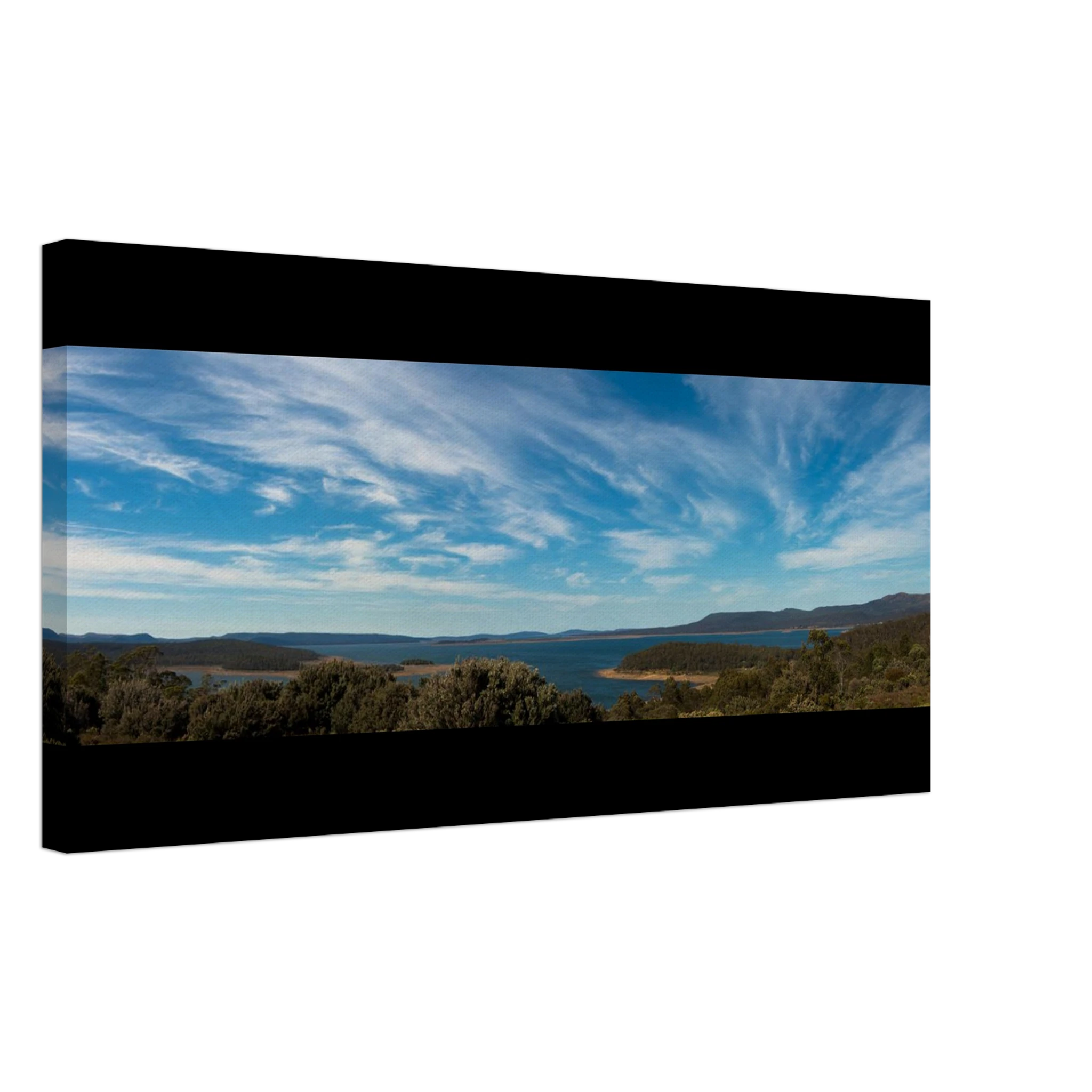 ca0fb6a7-57e7-44a3-8419-d81518d9d1fc