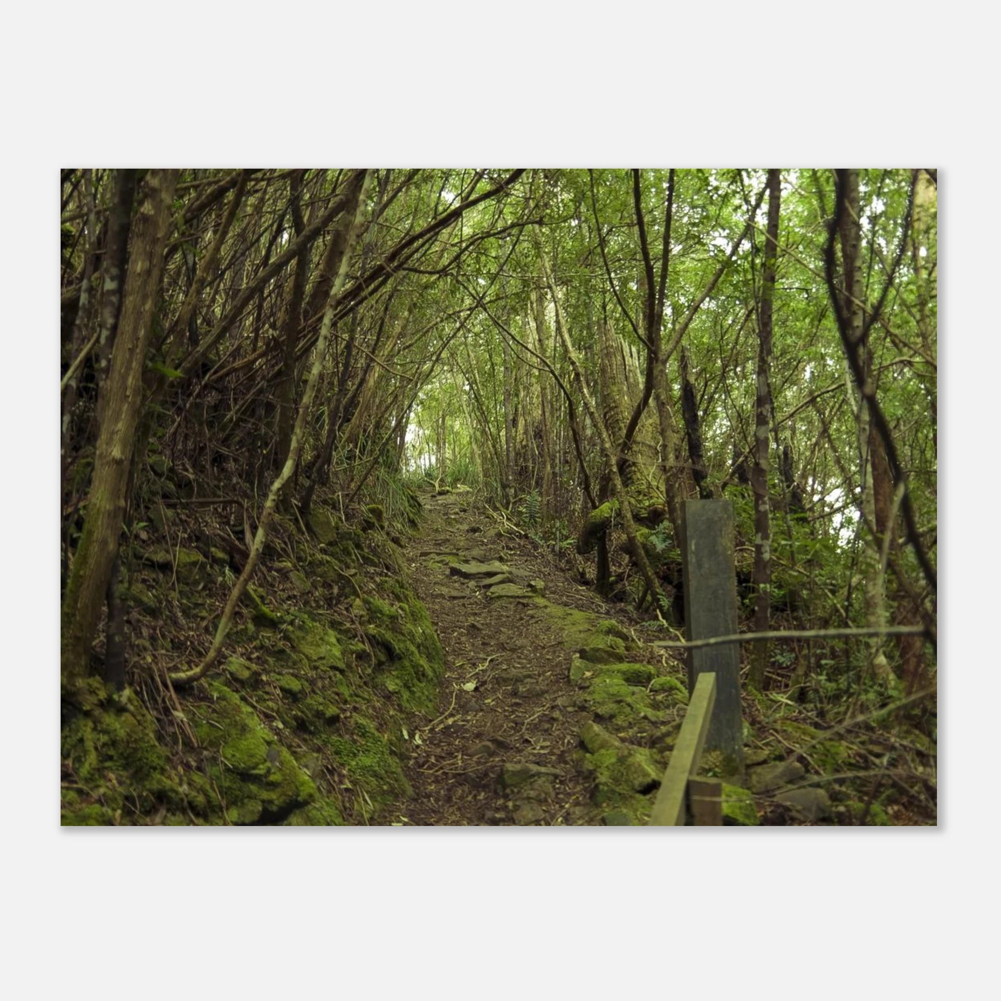 ca45b9a7-8541-4971-8084-13ff891e31bc