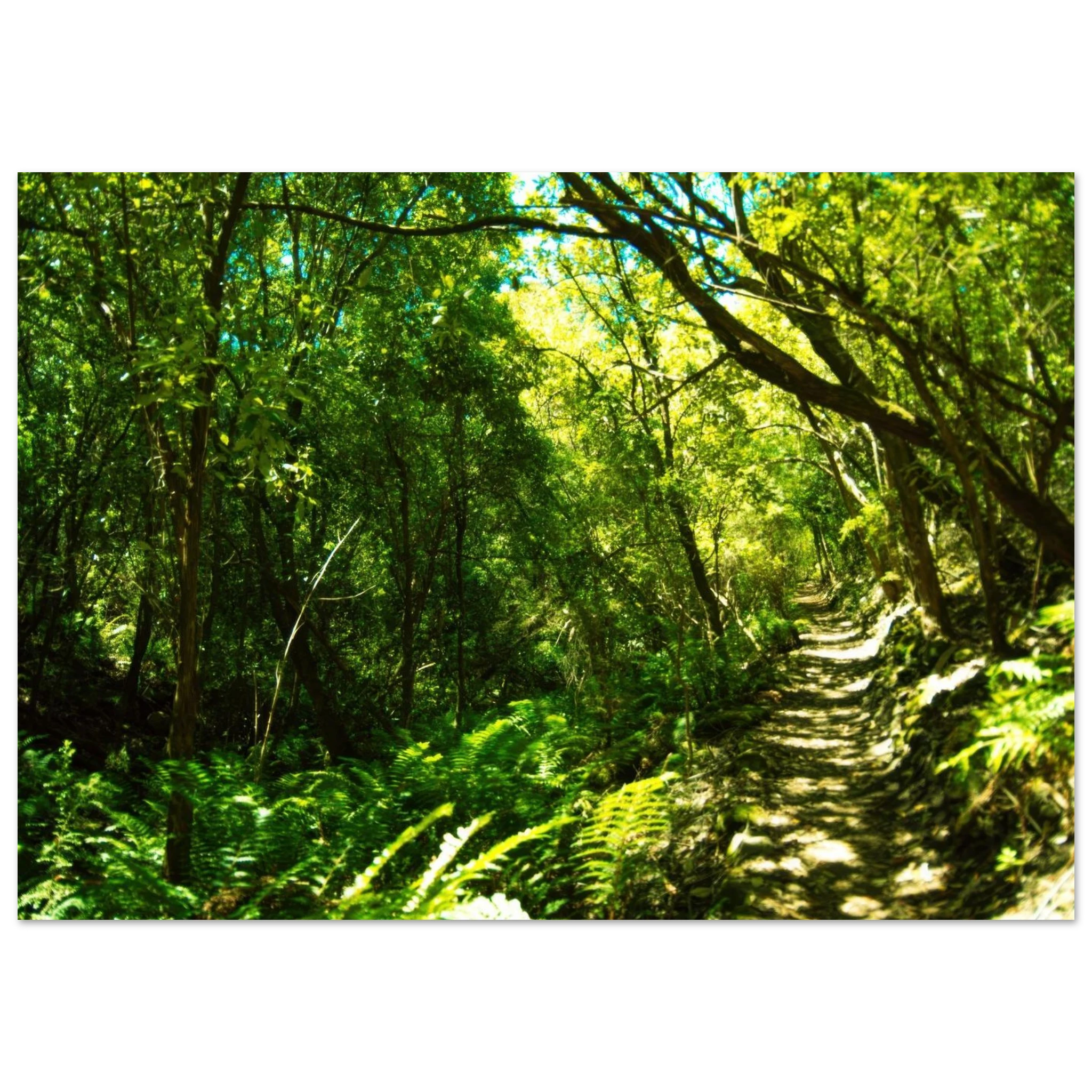 cae86af9-eaa1-46fc-a35b-d5ef99641dc7