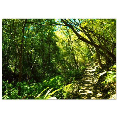 cae86af9-eaa1-46fc-a35b-d5ef99641dc7