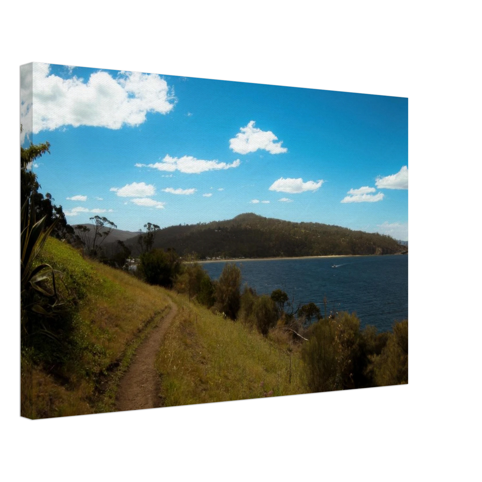 cd5bc867-7aab-4b66-bb60-c16c8218dab0