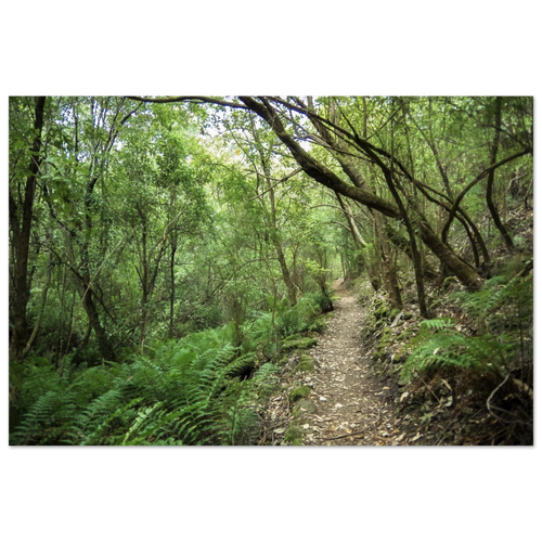 cf5ffb42-7925-41fe-a853-a9834b820f79