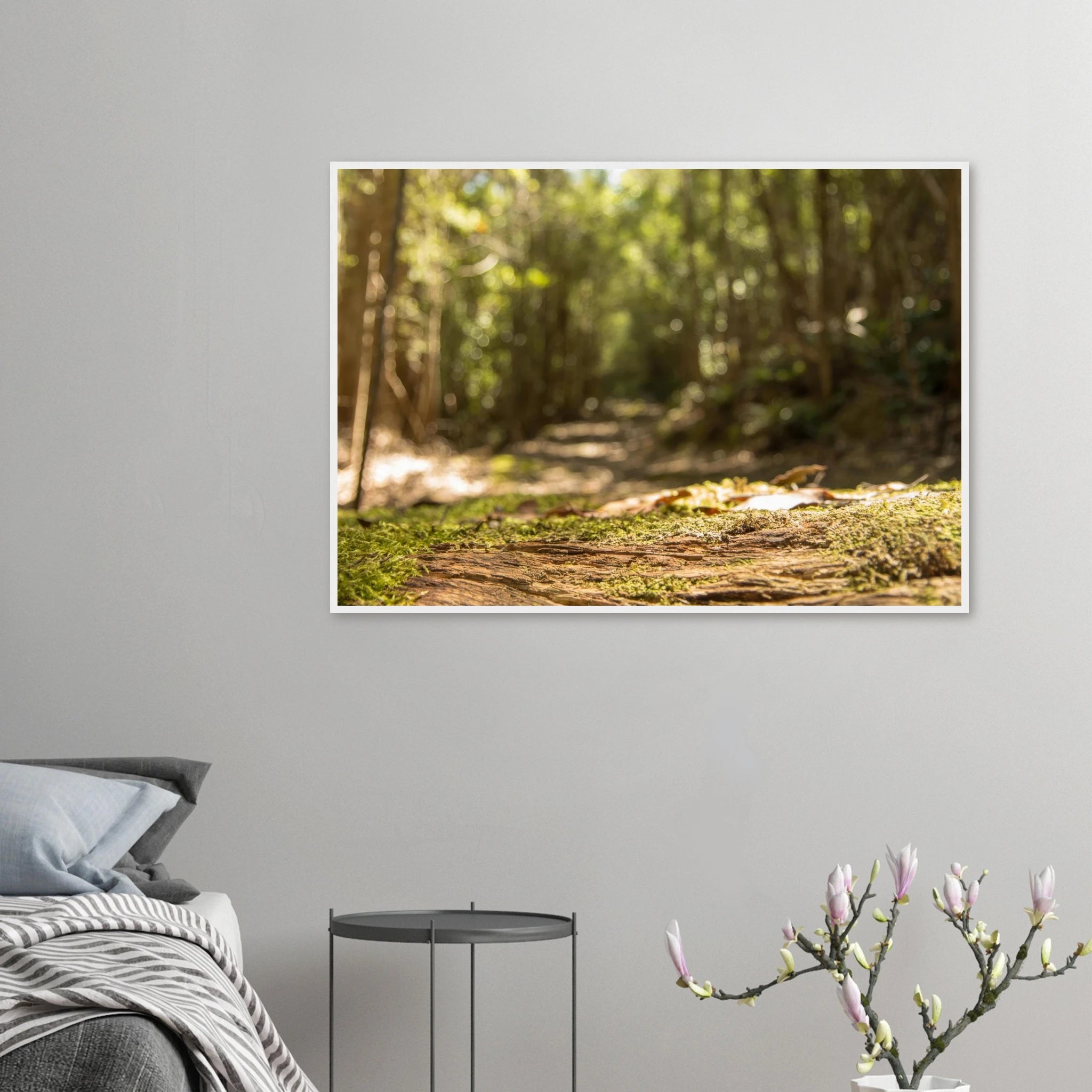 d07c97cd-fa77-4a1a-9d3e-da7aa10b2c6a