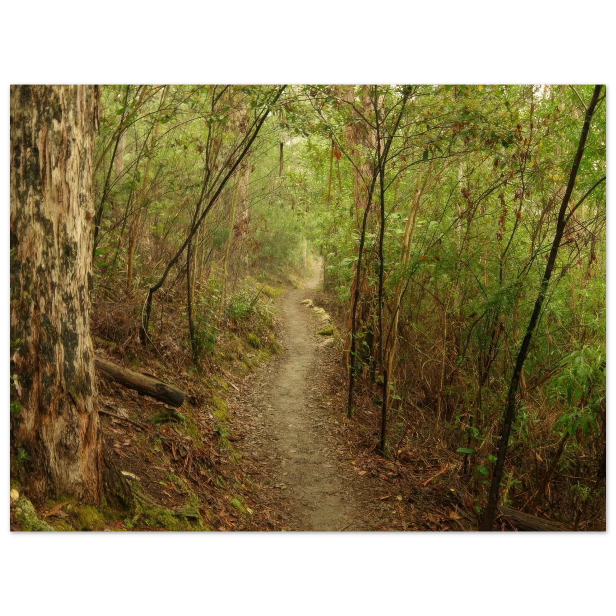 d106e286-c803-4f0f-b4a8-7057347569c7