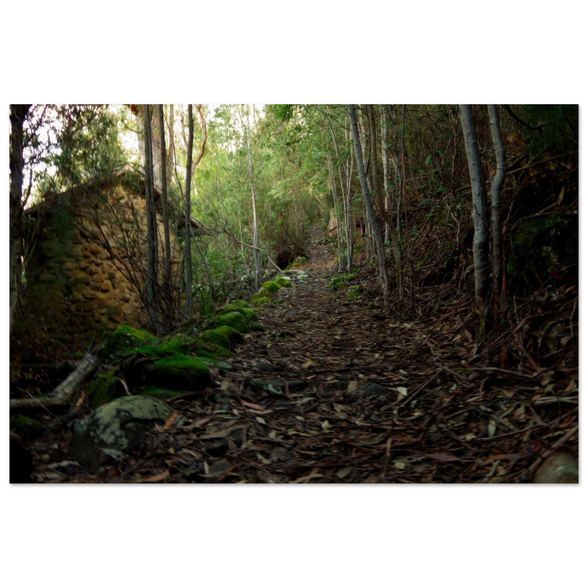 d2fddf6c-cffa-4c8d-b980-1b320f7f0519