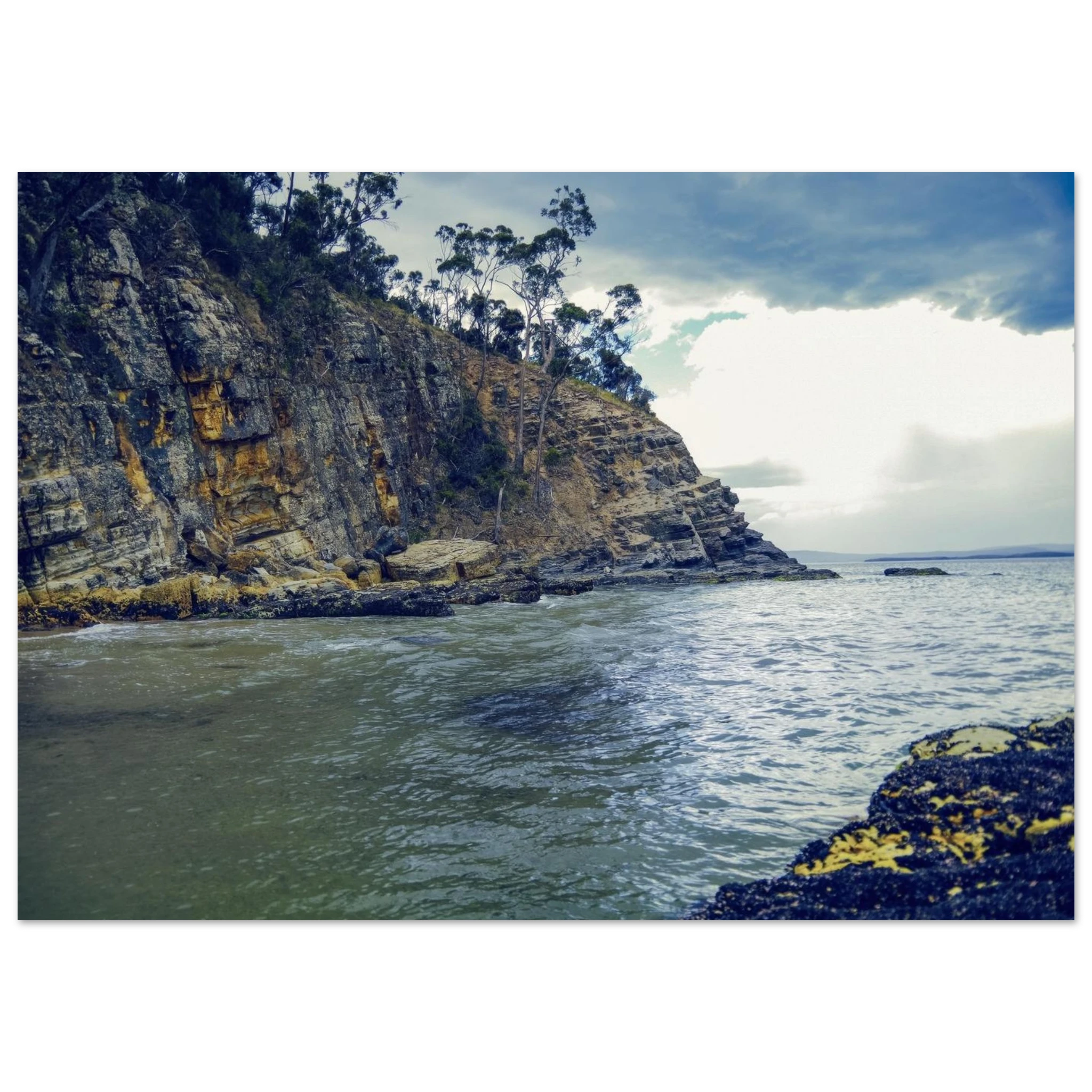d709a0b2-90f6-49d7-b6f4-30bdd9c1f73e
