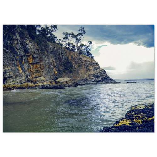d709a0b2-90f6-49d7-b6f4-30bdd9c1f73e