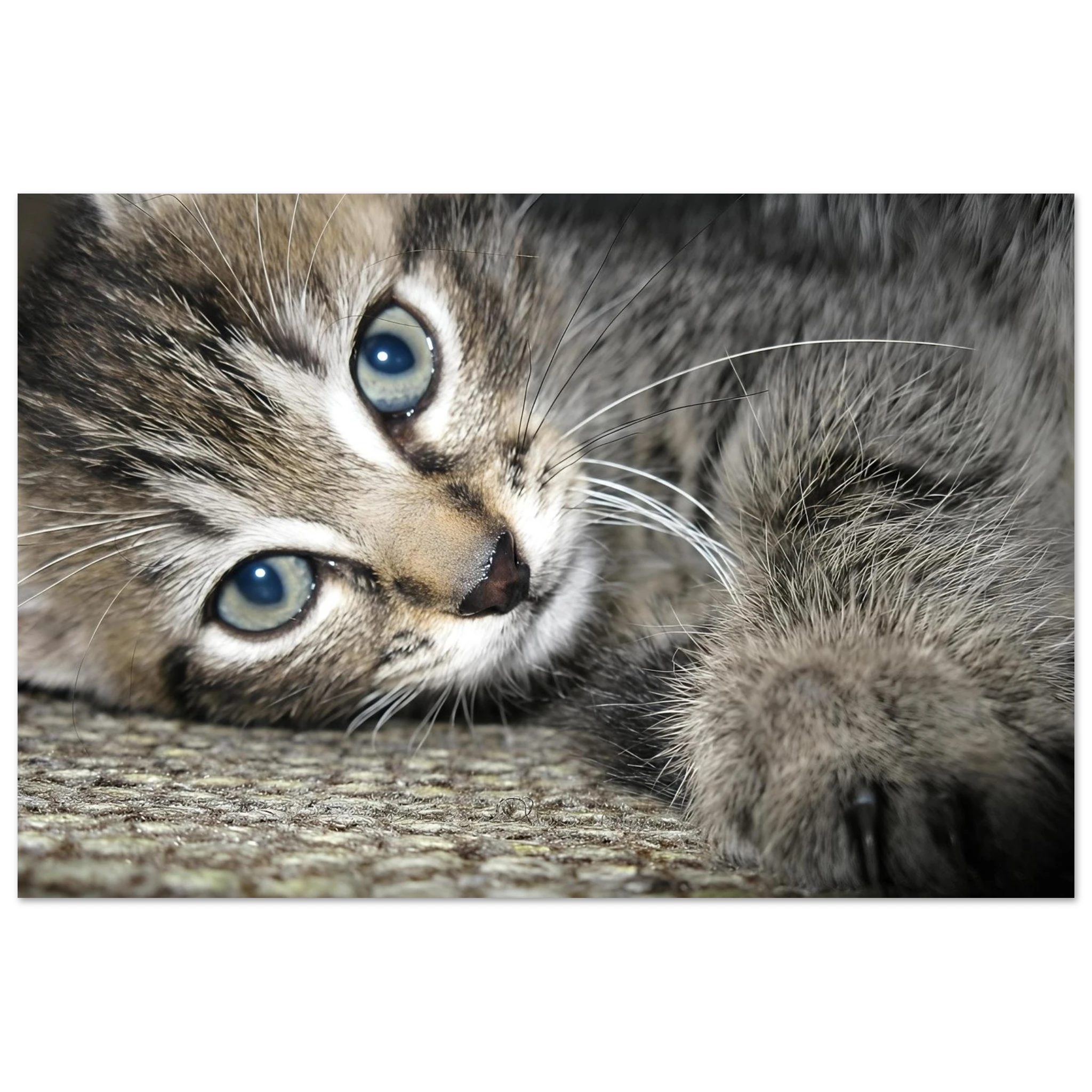 d7386863-8f97-4630-a7a8-a7e856883688
