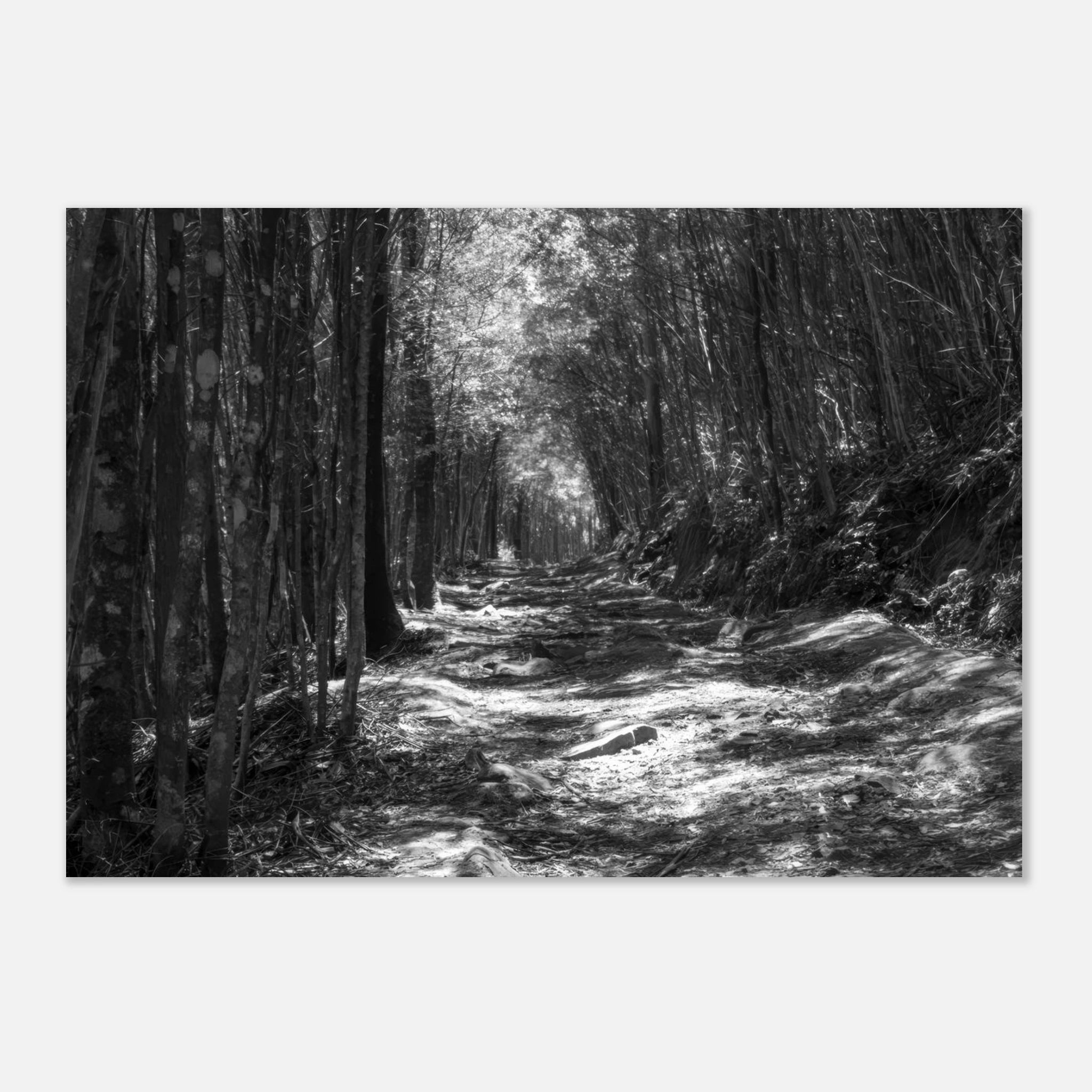 d82d86d1-3d5b-4064-b9b0-989d89d26eeb