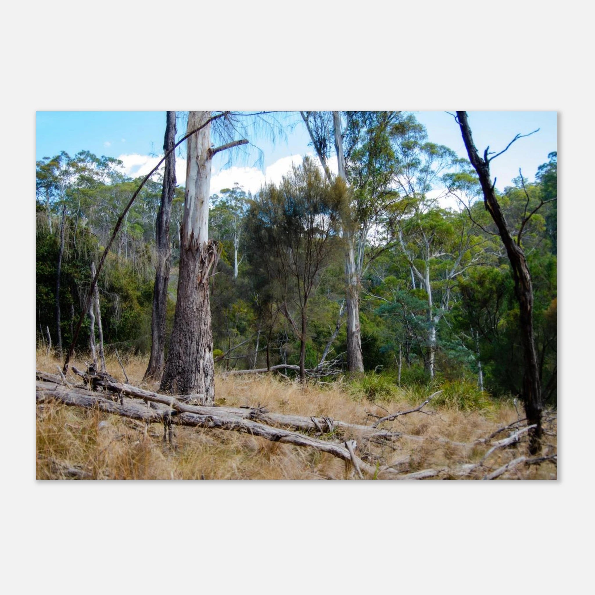 dc8069cb-a989-4da4-977f-c1e892814c25