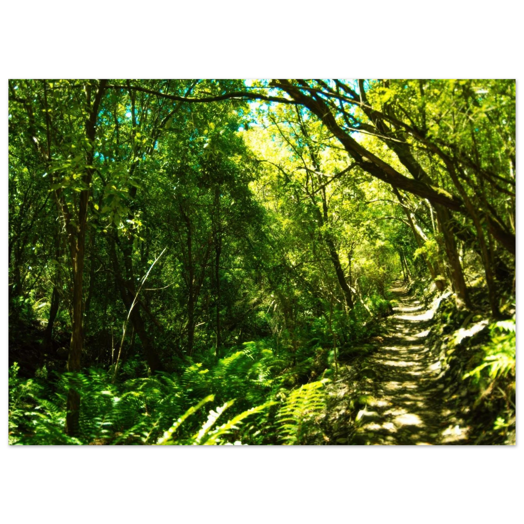 dd6f7247-abc8-4cdd-8e4b-44dbe8ea5f87