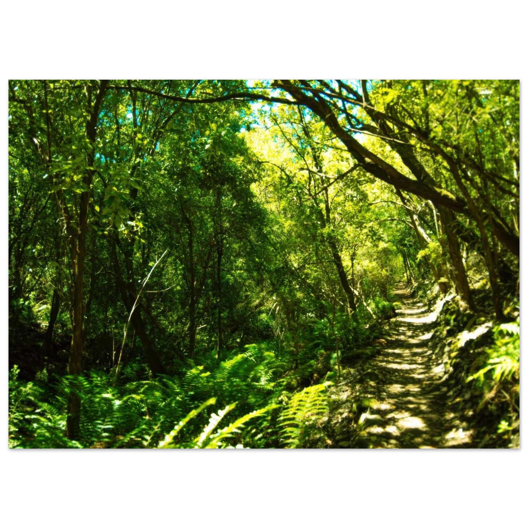 dd6f7247-abc8-4cdd-8e4b-44dbe8ea5f87