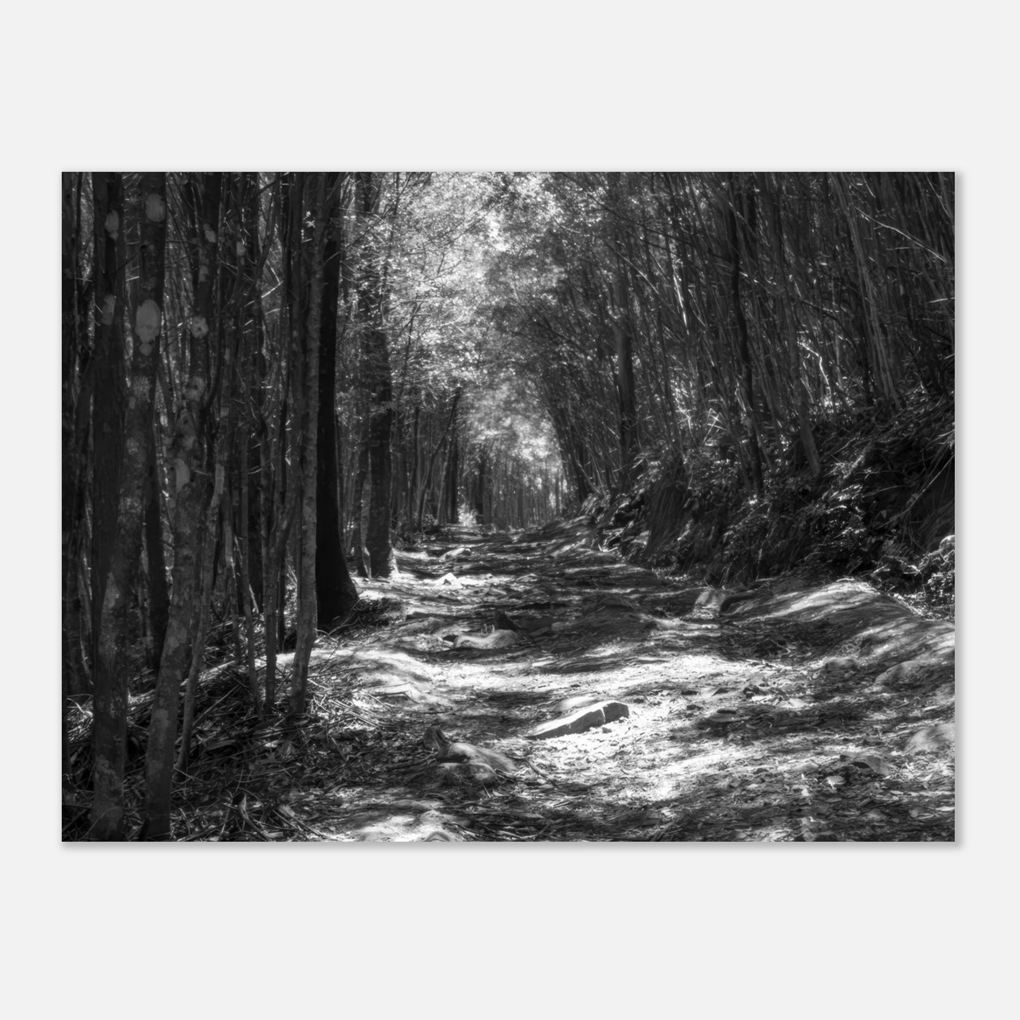 def85cc1-fd30-43ca-b0e1-d60cc5bfc2fd