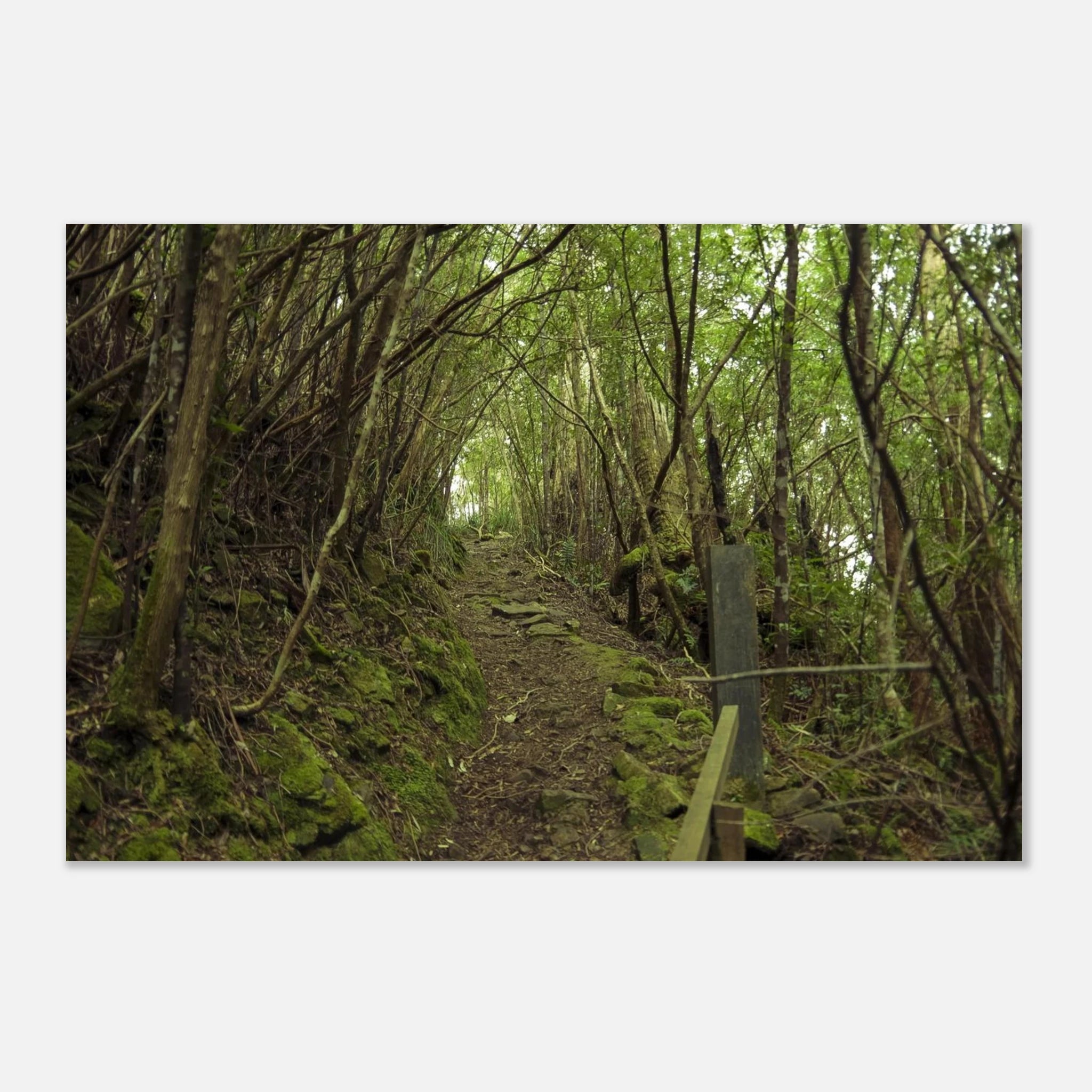 dfa261da-ad74-444a-886b-77c849a29fa2