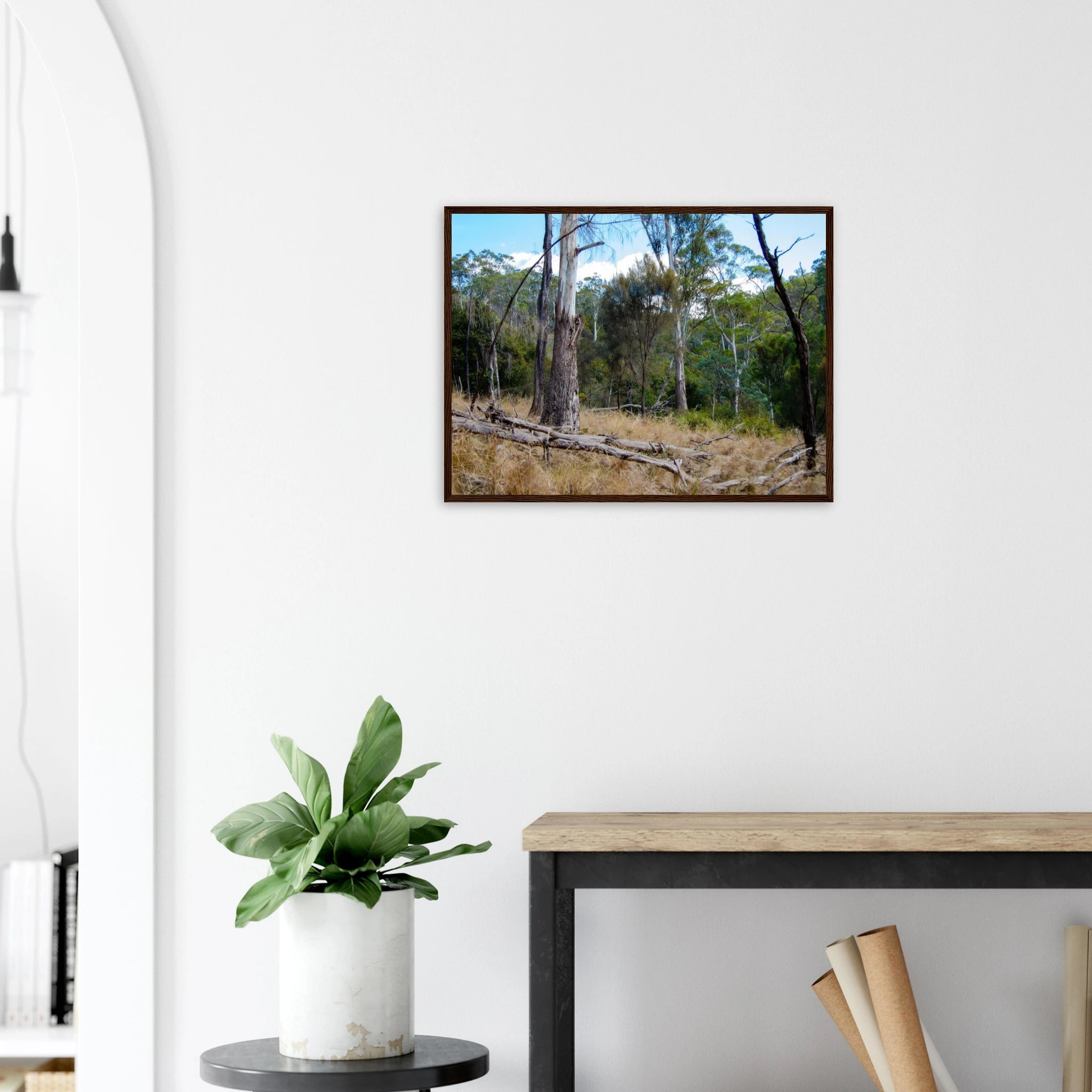 e4463698-fd95-48d9-9cd2-011d9d995104