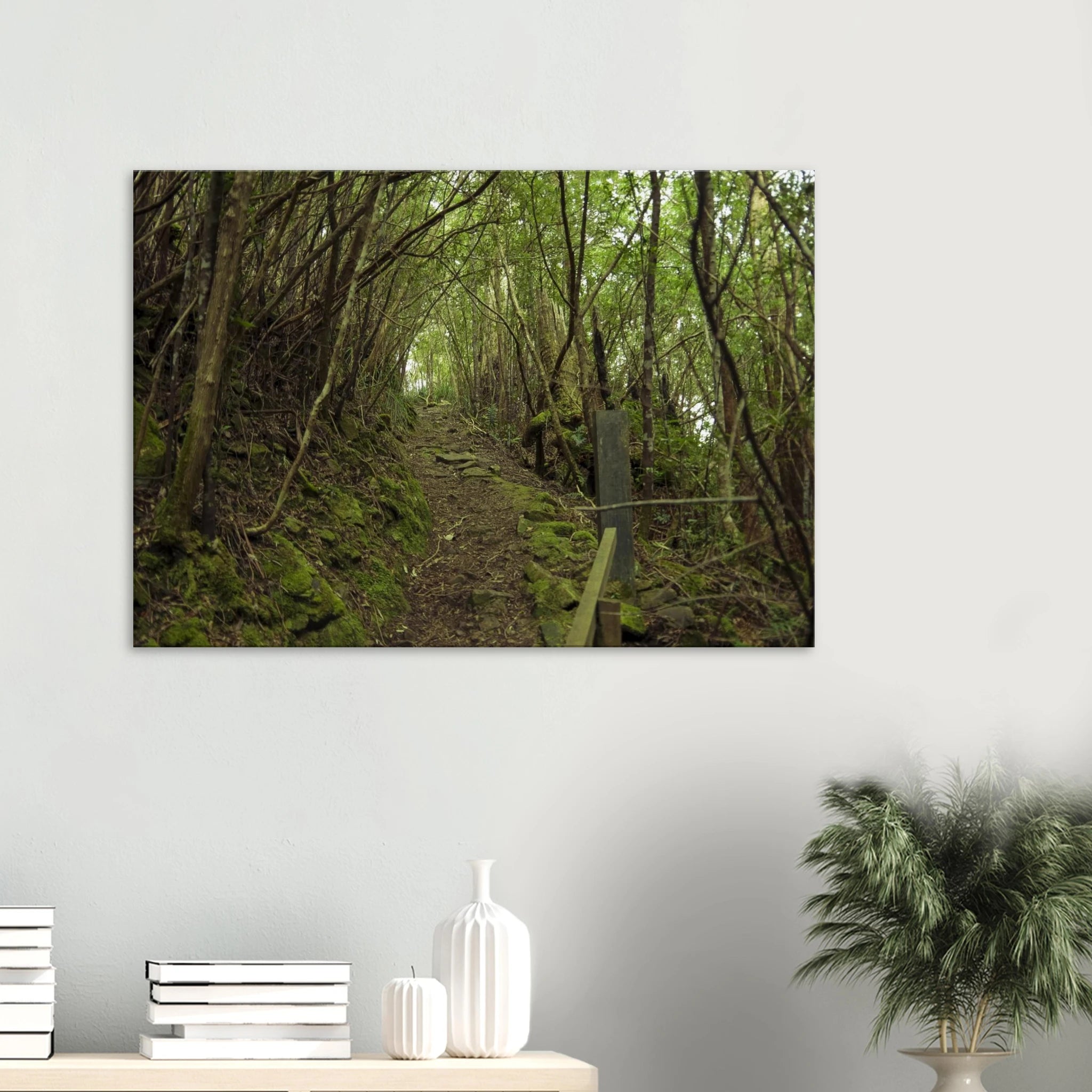 e5d8c494-7193-416e-af13-8994d2a9385c