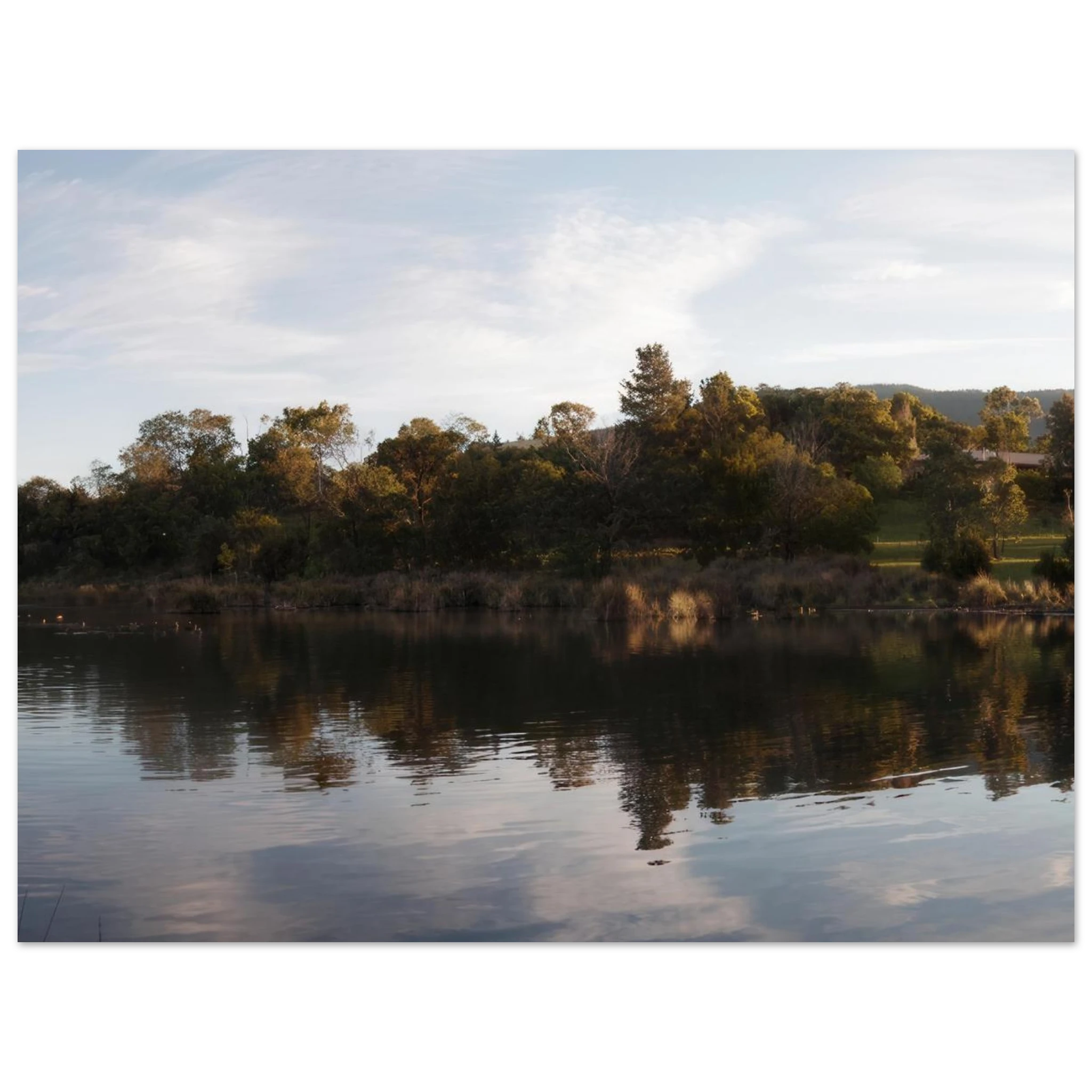 e8265dea-d843-4cdf-8222-c4cb97de7247