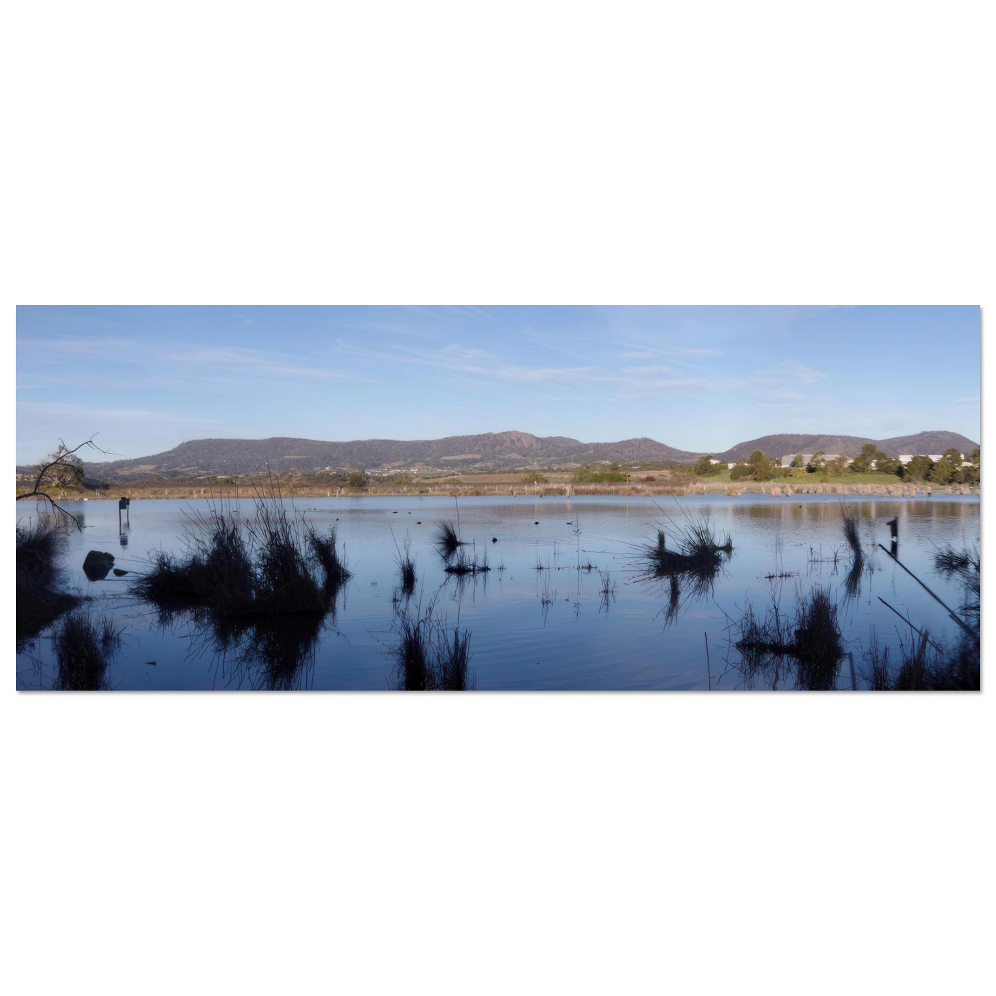 e954b07a-0392-41b7-b6fd-f081b0c87e6a