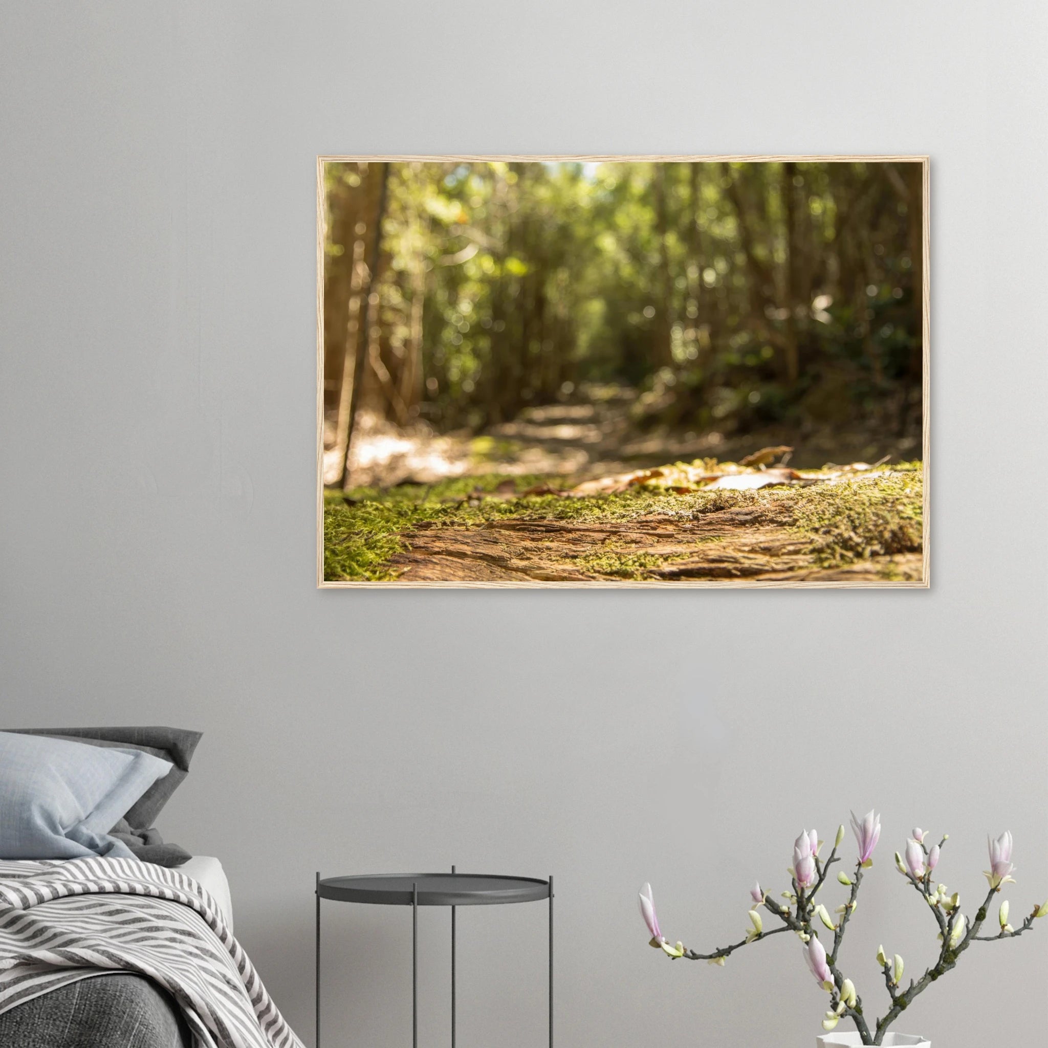 e96146fd-17ff-4dc8-b49f-03e6e4640356