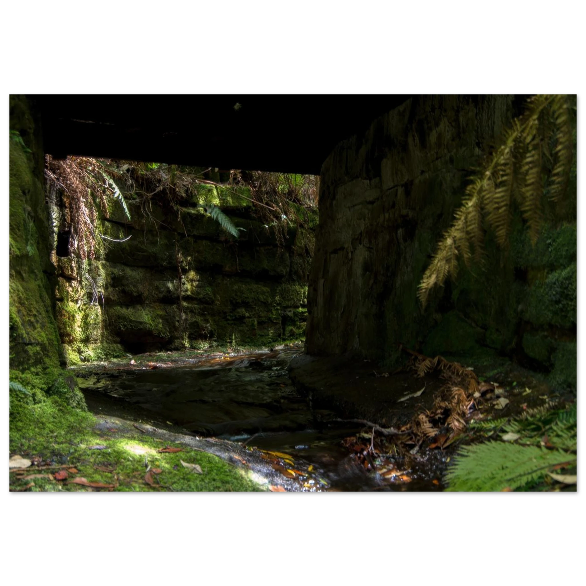 eb0cc55f-a323-4824-a77d-5c7f5f388cc1