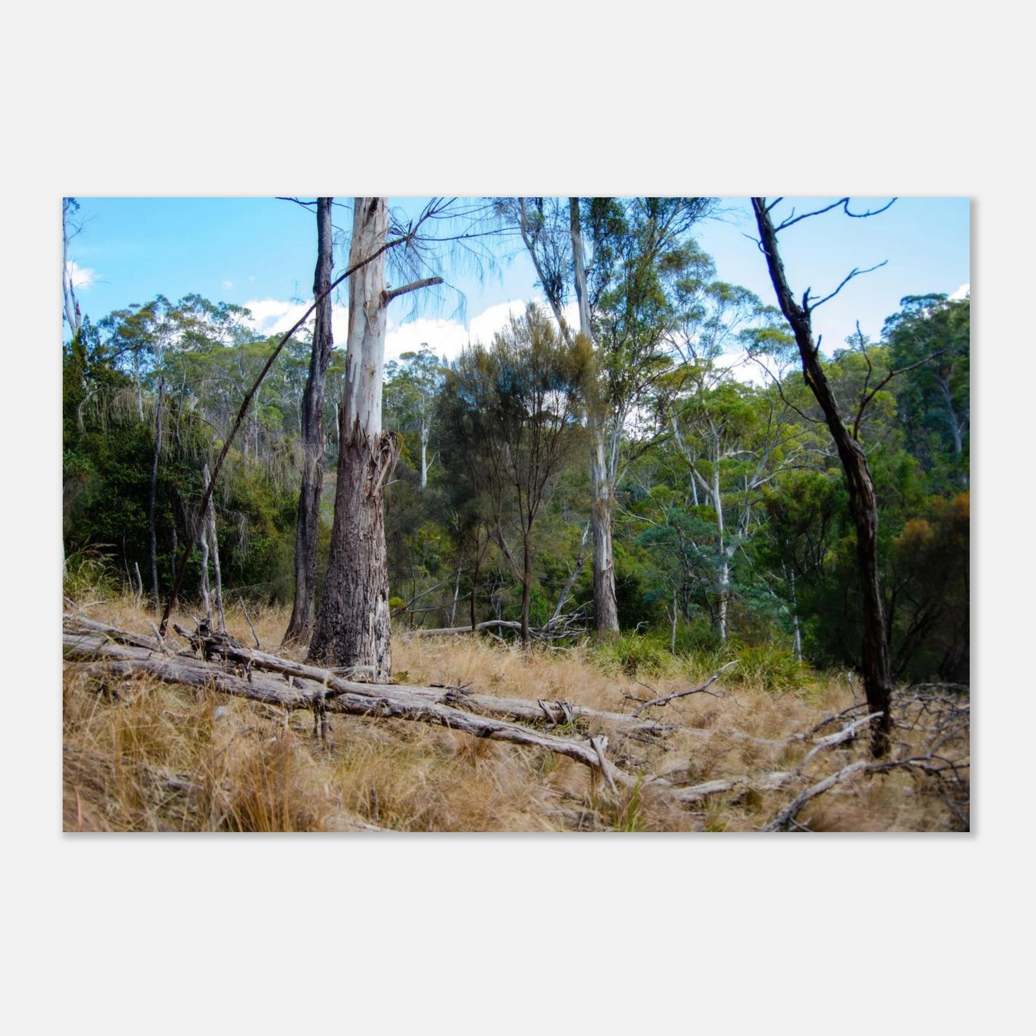 ec0884d1-1242-4081-a95a-78f62e44a179