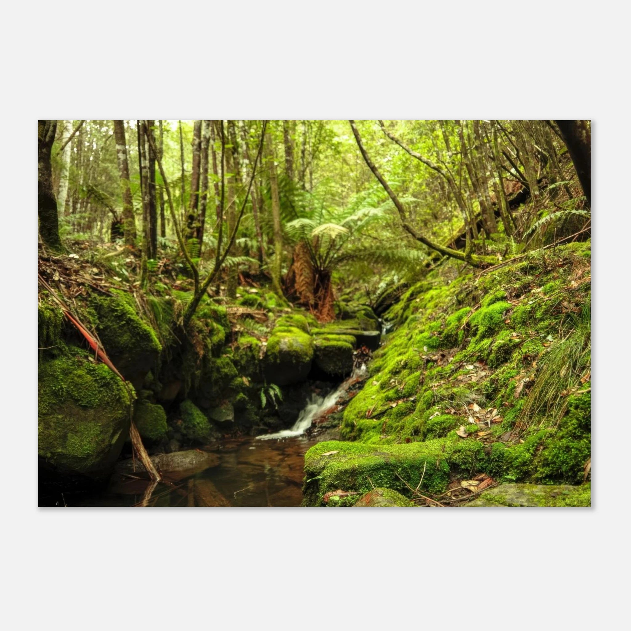 eeaa8ff3-e405-4f4e-a5b8-803d4f3fa823