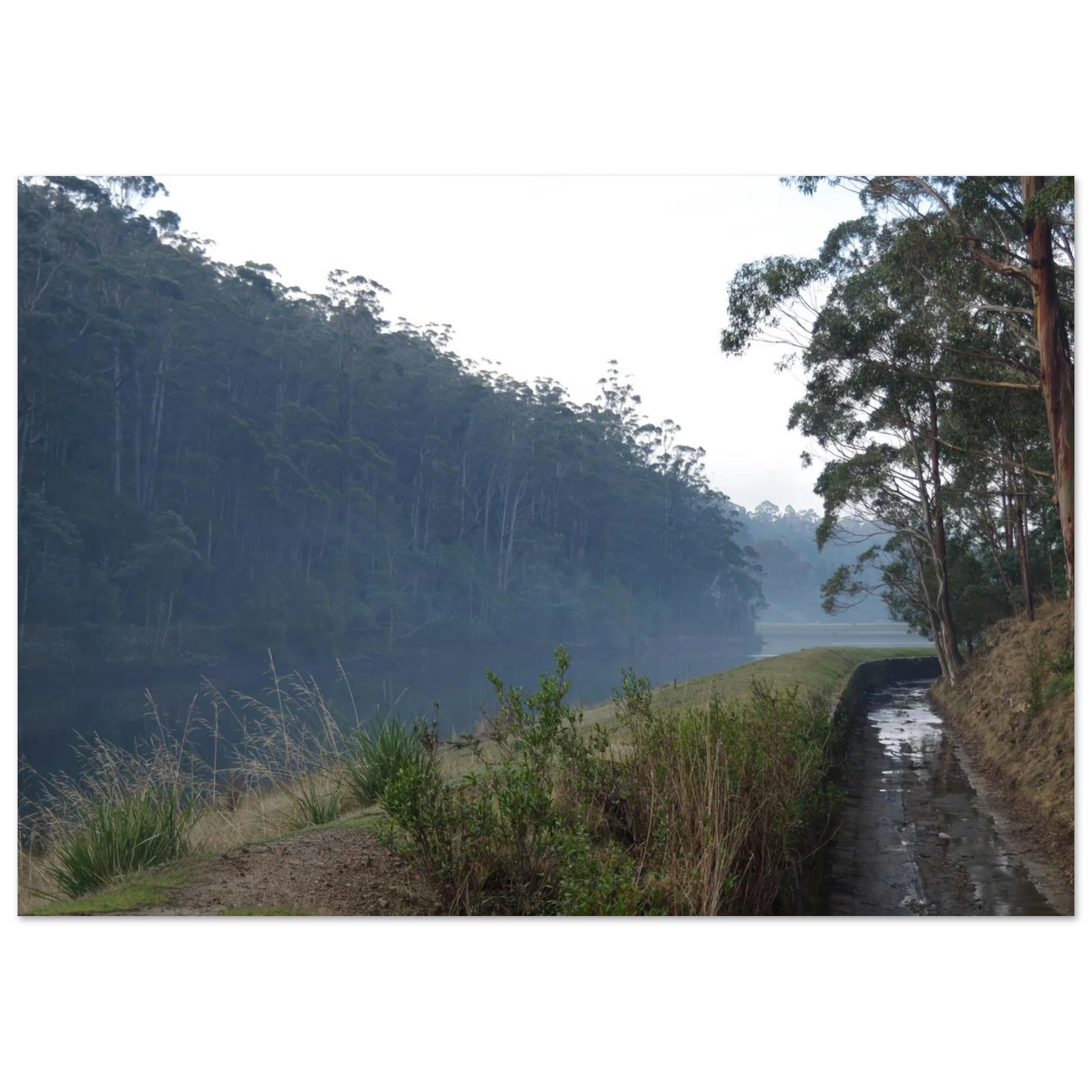 ef5de21d-11ee-49b5-98f3-13aa764891f4