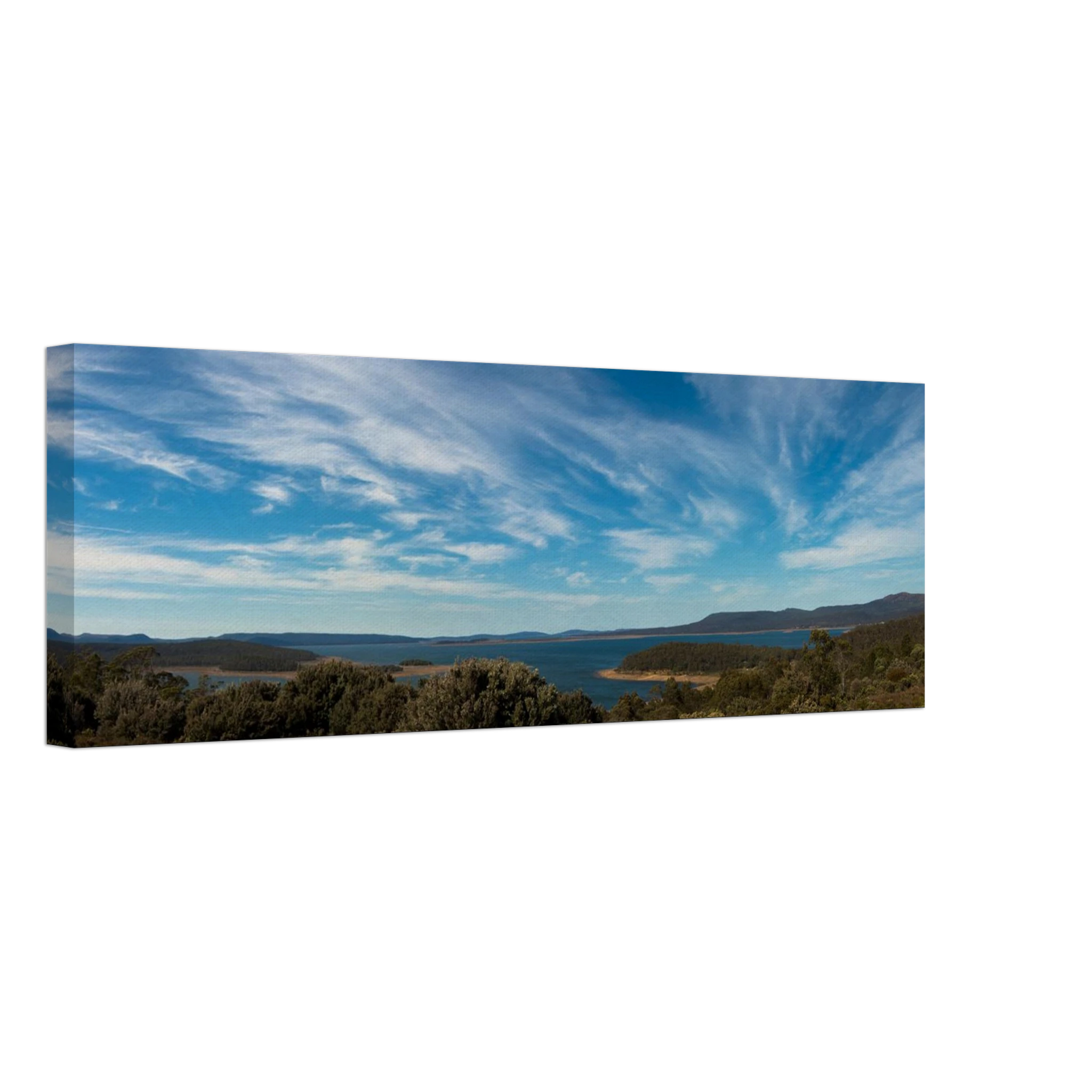 f8d51b01-a4ad-4599-89fd-d34792e3edc1