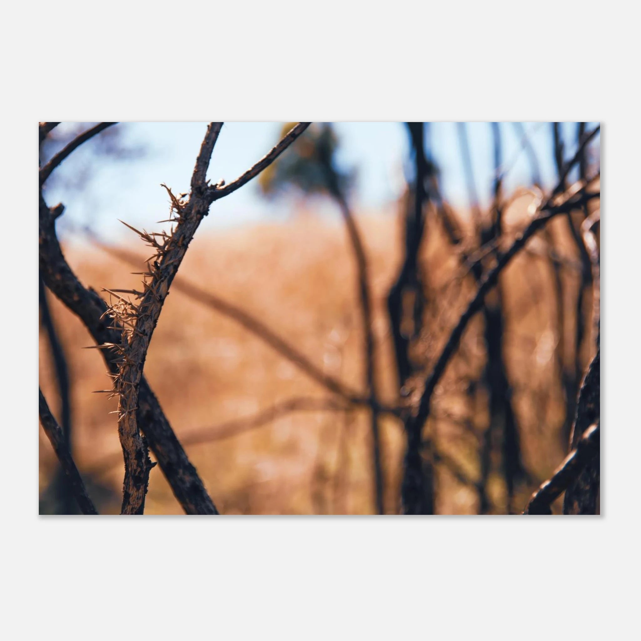 fa631b6b-6620-451a-aa68-de675f398bb3